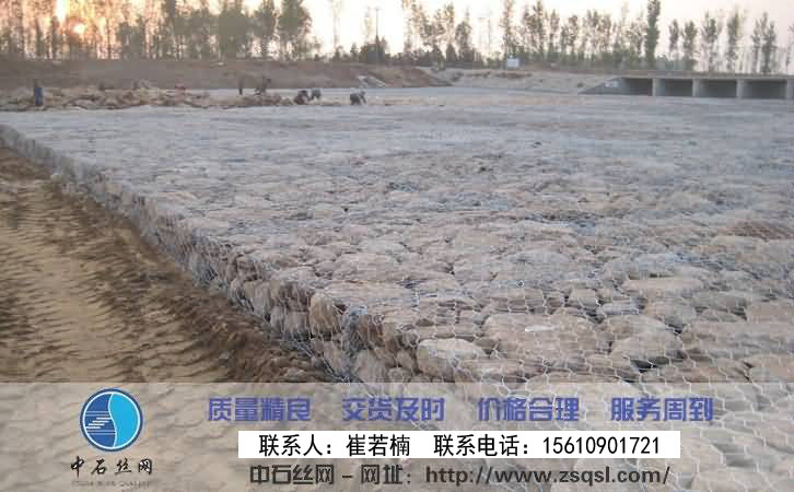 雷諾護墊 雷諾護墊